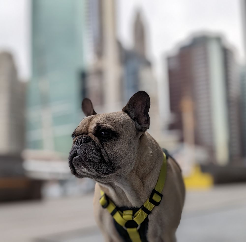 The Gossip Column: March 24, 2023